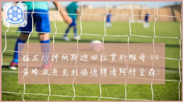 猛龙炒掉纳斯迎回拉贾科维奇 vs 黄蜂放弃克利福德聘请阿特金森：加拿大蜂群与夏洛特蜂群的重建主教练画像大不同
