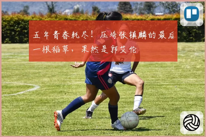 五年青春耗尽！压垮张镇麟的最后一根稻草，果然是郭艾伦
