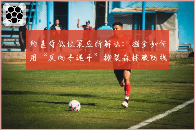 约基奇低位策应新解法：掘金如何用“反向手递手”撕裂森林狼防线