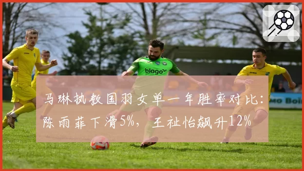 马琳执教国羽女单一年胜率对比：陈雨菲下滑5%，王祉怡飙升12%
