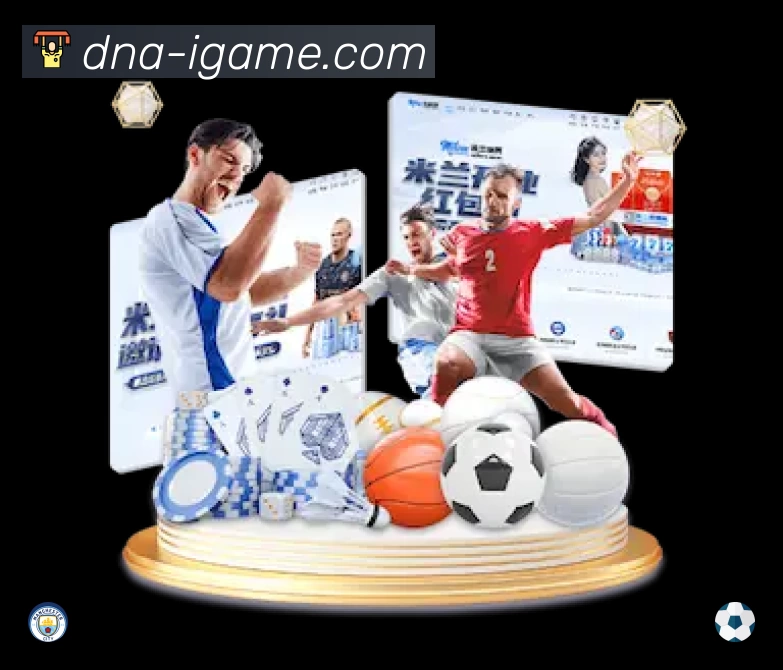 结构优化认证展示